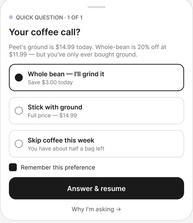 E1 · Ambiguity wireframe